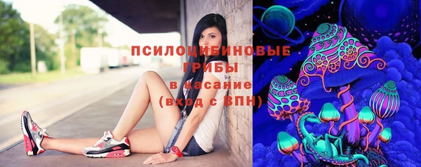 apvp Бугульма