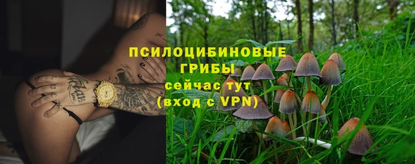 прущая мука Бородино