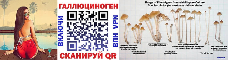 кракен ССЫЛКА  купить наркоту  Усть-Илимск  Галлюциногенные грибы Magic Shrooms 